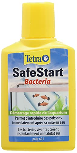 Tetra SafeStart Bakterienstartkultur für Aquarien 50 ml. Gesunde Bakterien für einen sicheren Start im Aquarium. #Tetra #Aquarium #Bakterien #Zubehör #Weihnachten #Geschenk #Coupon - Jetzt bei Amazon kaufen!