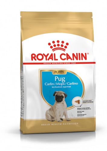 ROYAL CANIN Pug Puppy 1,5 kg Trockenfutter für Mops-Welpen bis zum 10. Monat. Unterstützt die Abwehrkräfte. Exklusive Krokette. #ROYALCANIN #Mops #Trockenfutter #Haustierliebe #Weihnachten #Geschenk #Rabatt - Jetzt bei Amazon kaufen!