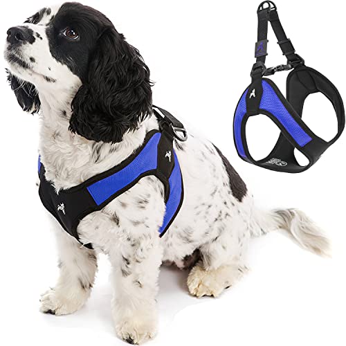 Gooby - Escape Free Easy Fit Hundegeschirr in Blau, XS für kleine Hunde, die gerne ausbrechen. Ideal für Spaziergänge mit Ihrem Vierbeiner. #Gooby #Hundegeschirr #Hunde #Sicherheit #Weihnachten #Geschenk #Deals - Jetzt bei Amazon kaufen!