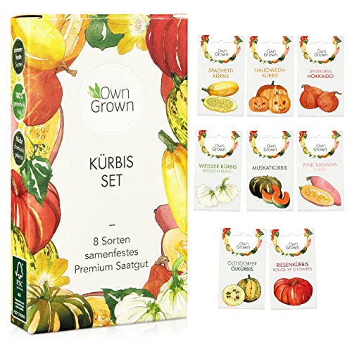 Premium Kürbis Samen Set für Anzucht im Garten, Hochbeet und Gewächshaus. Enthält 8 Sorten wie Muskatkürbis und Halloween Kürbis. #OwnGrown #Kürbis #Gemüse #Gartenfreude #Weihnachten #Geschenk #Coupon - Jetzt bei Amazon kaufen!