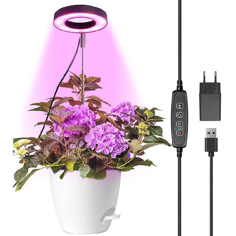 Qoolife Pflanzenlampe Led Vollspektrum, ideales Grow Light für Zimmerpflanzen. Unterstützt das Pflanzenwachstum zu einem erschwinglichen Preis. #Qoolife #Pflanzenlampe #GrowLight #Gartenliebe #Weihnachten #Geschenk #Rabatt - Jetzt bei Amazon kaufen!