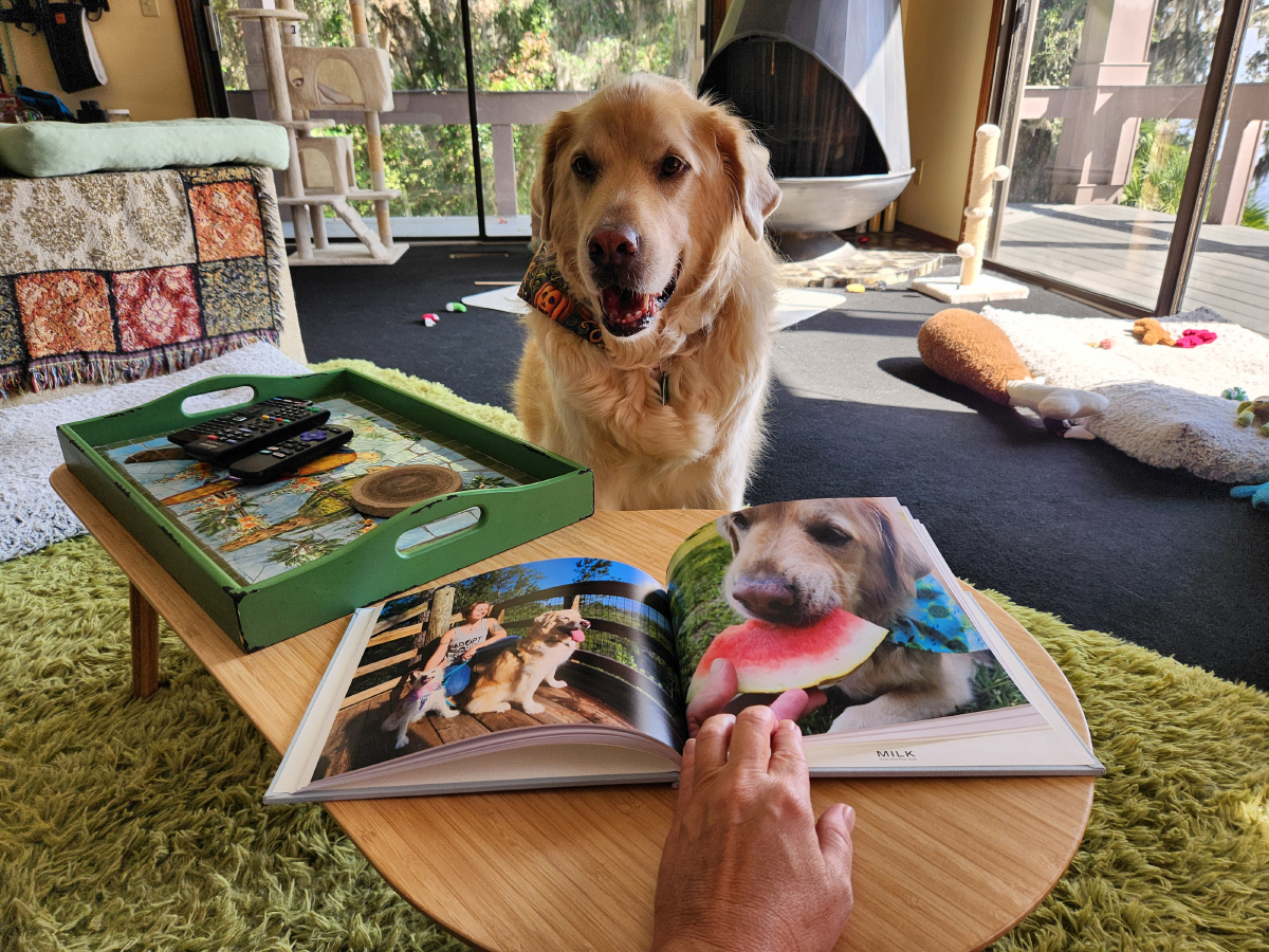 MILK Books - Gabrielle looking at the photo book and Turtle at the background