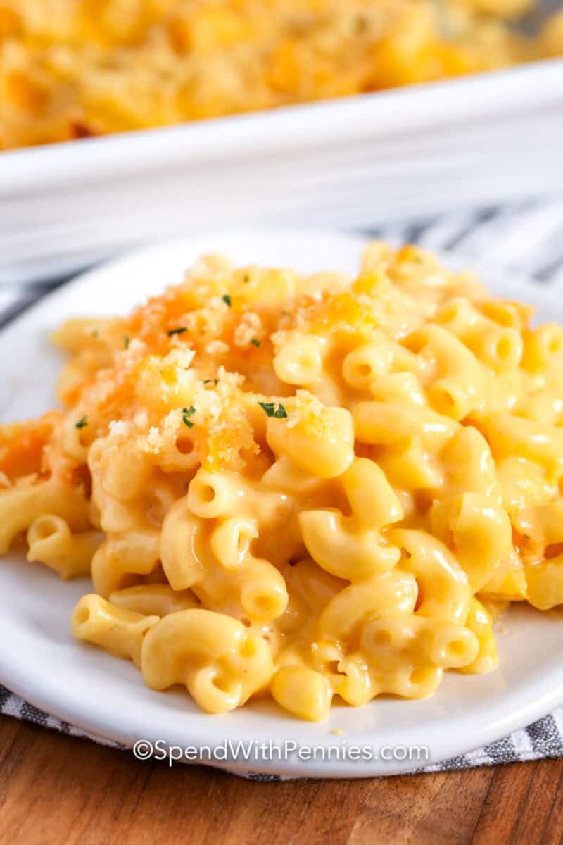 A plate of Velveeta mac and cheese ready to serve