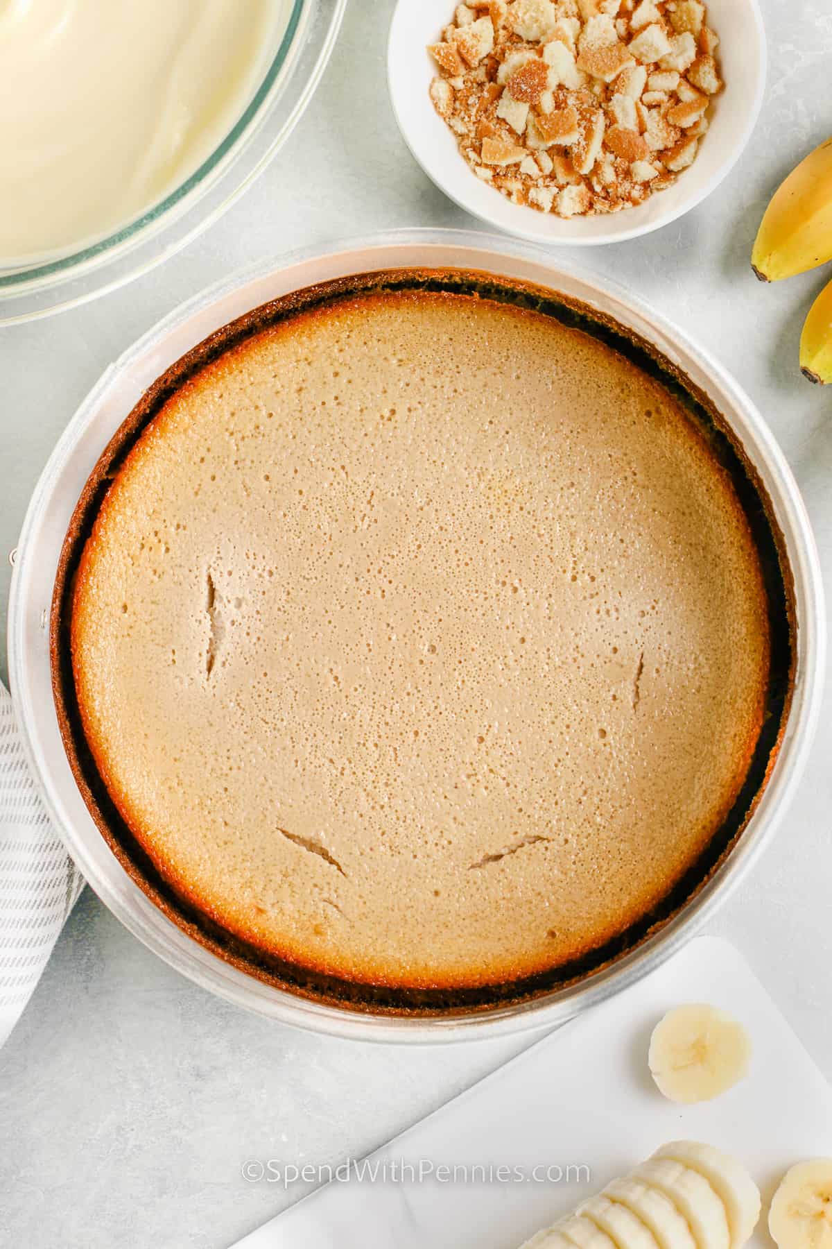 cheesecake layer for banana pudding cheesecake in a springform pan