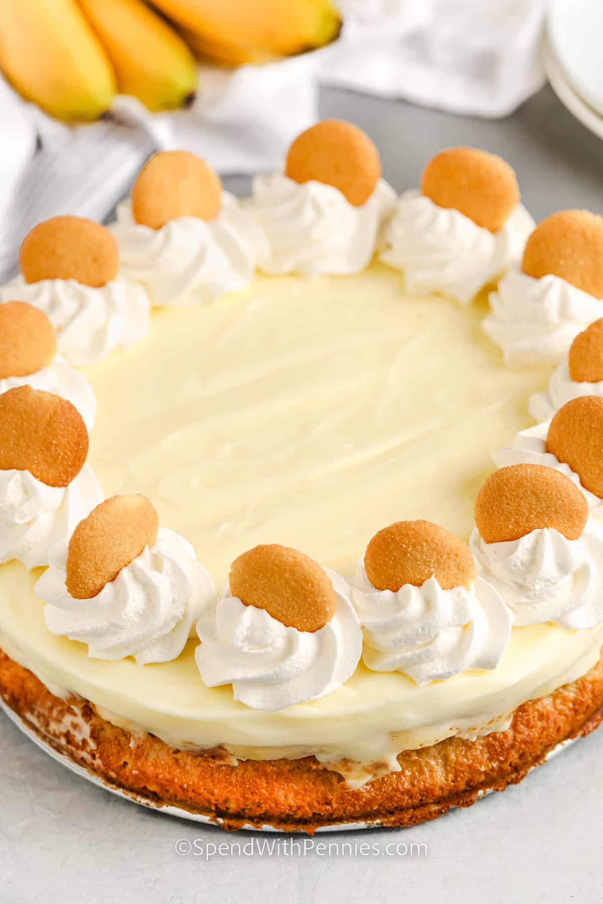 banana pudding cheesecake with whipped cream and nilla wafers on top