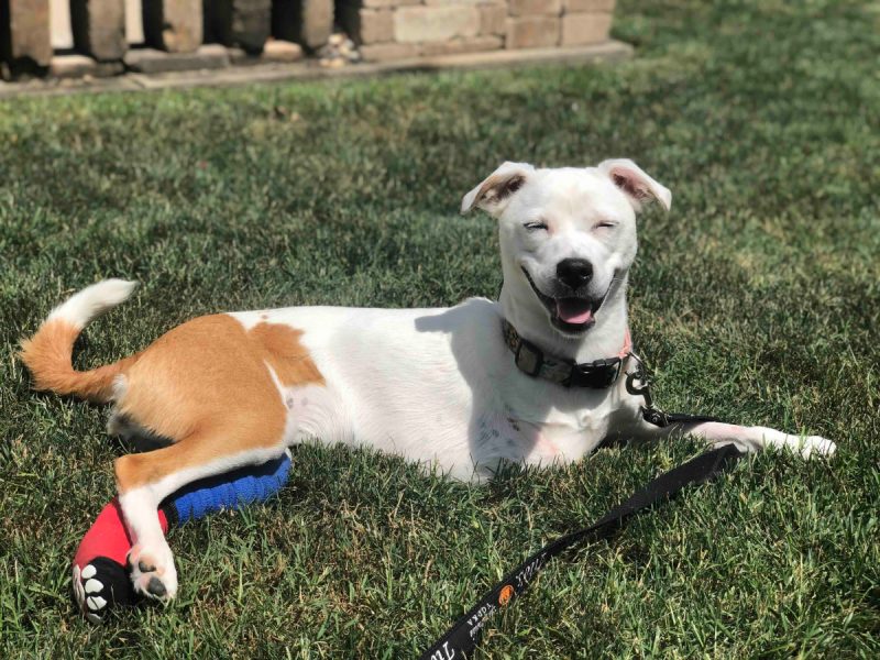 Penny and her contagious smile