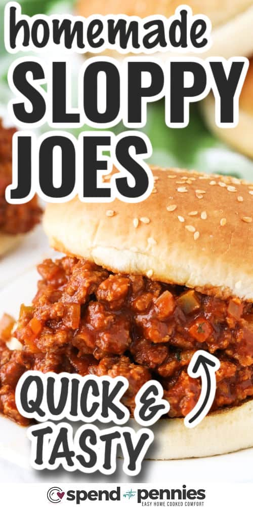 quick and tasty Sloppy Joe Recipe on a bun with writing