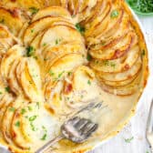 potatoes au gratin in a baking dish with a fork