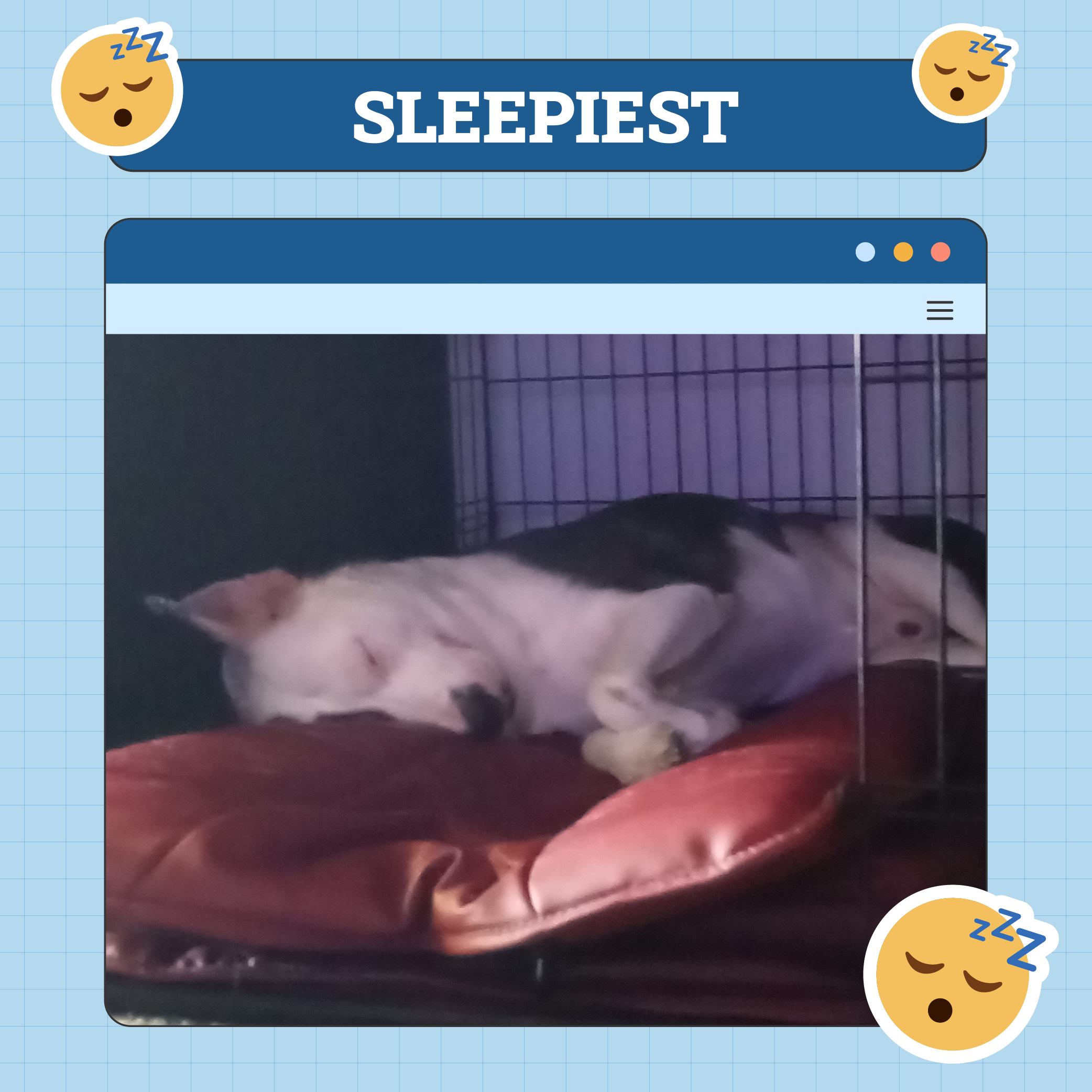 Sleepiest