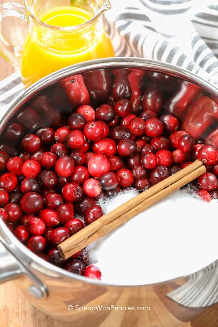 Cranberry Sauce uncooked in pot