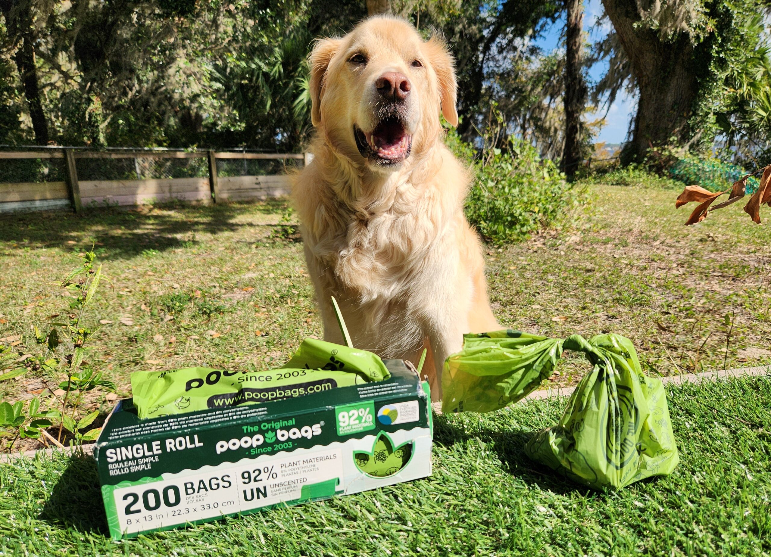 The Original Poop Bags Review - dog with poop bags outside