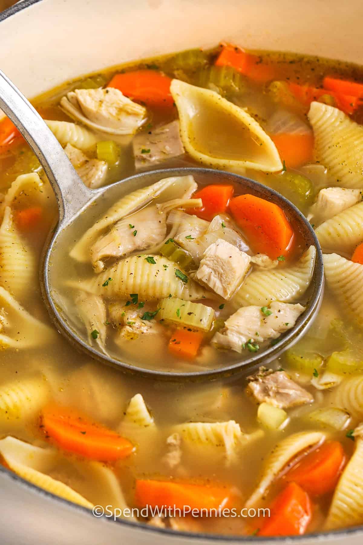 a ladle filled with turkey soup and noodles