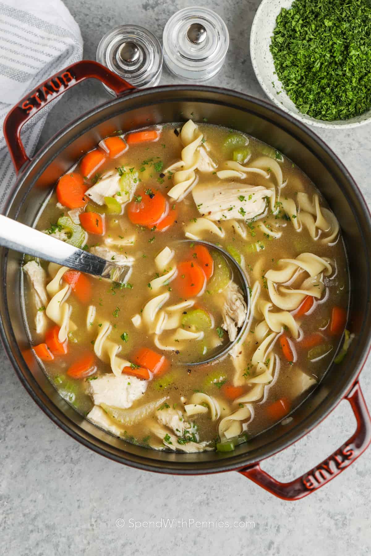 pot of Turkey Noodle Soup