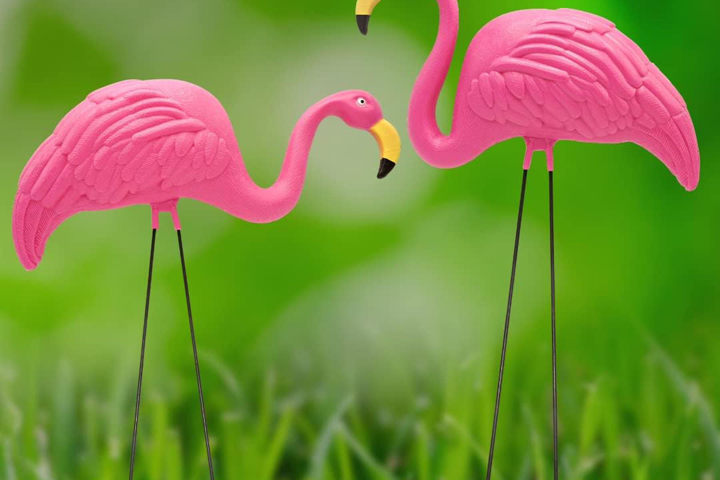 Two plastic pink flamingos on a green lawn.