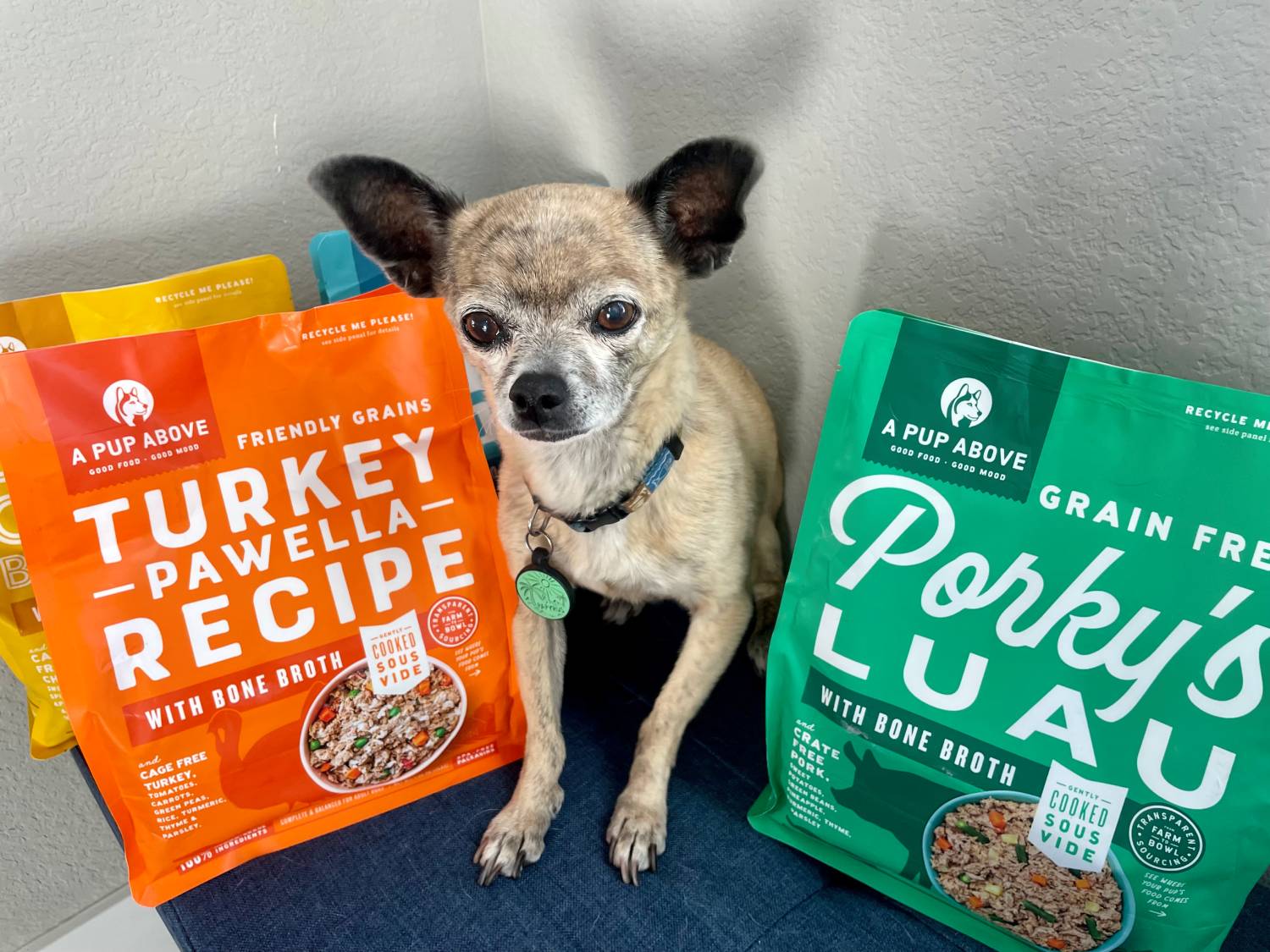 A Pup Above Dog Food Review - dog with products