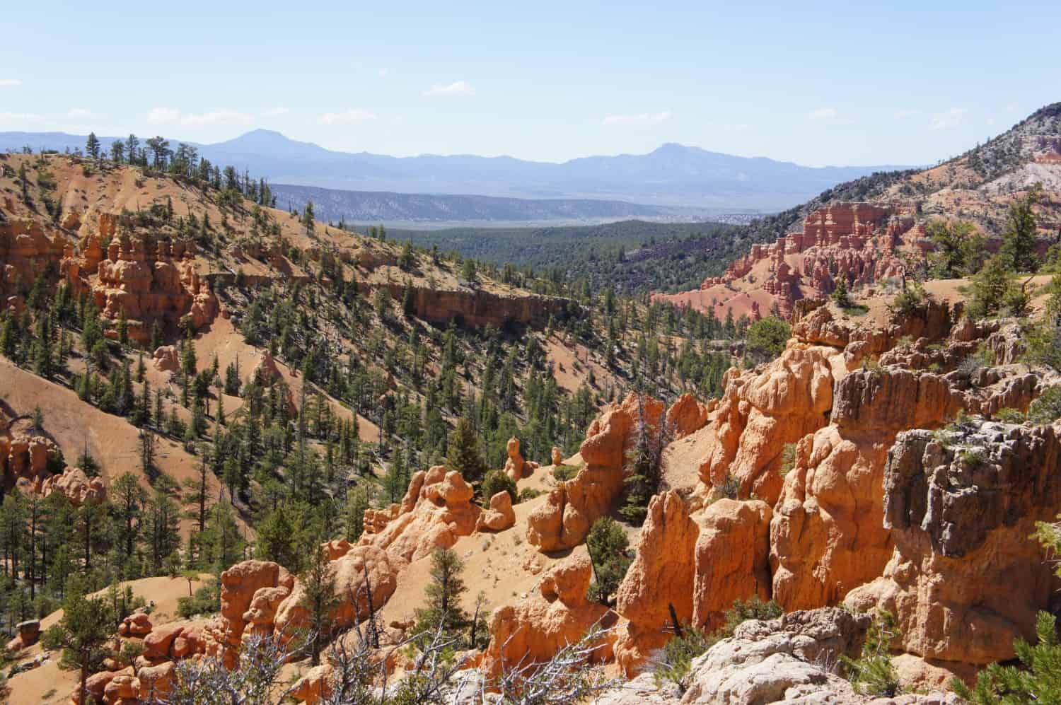 Dixie National Forest - Utah