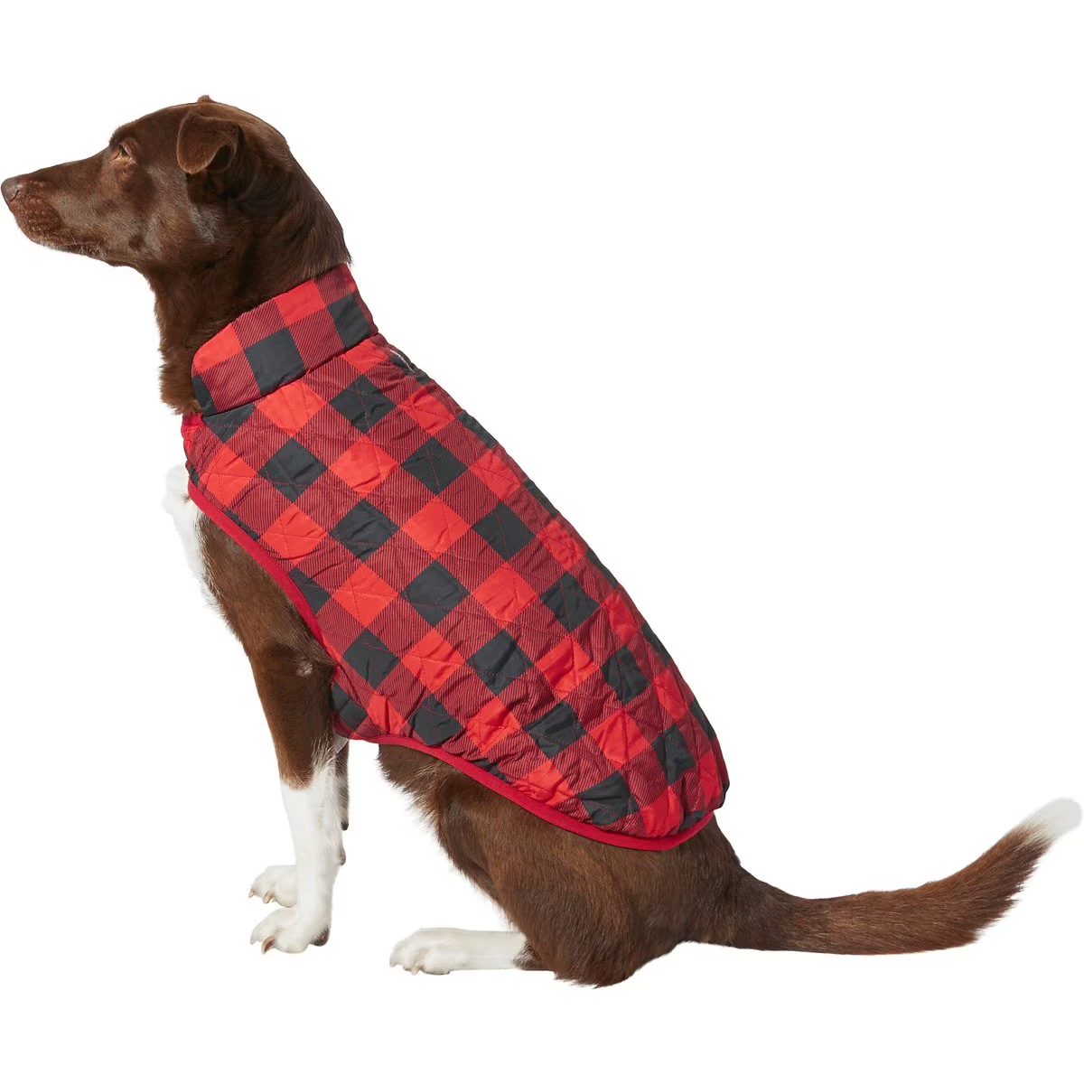 Frisco Lightweight Quilted Water-Resistant Reversible Insulated Dog & Cat Jacket