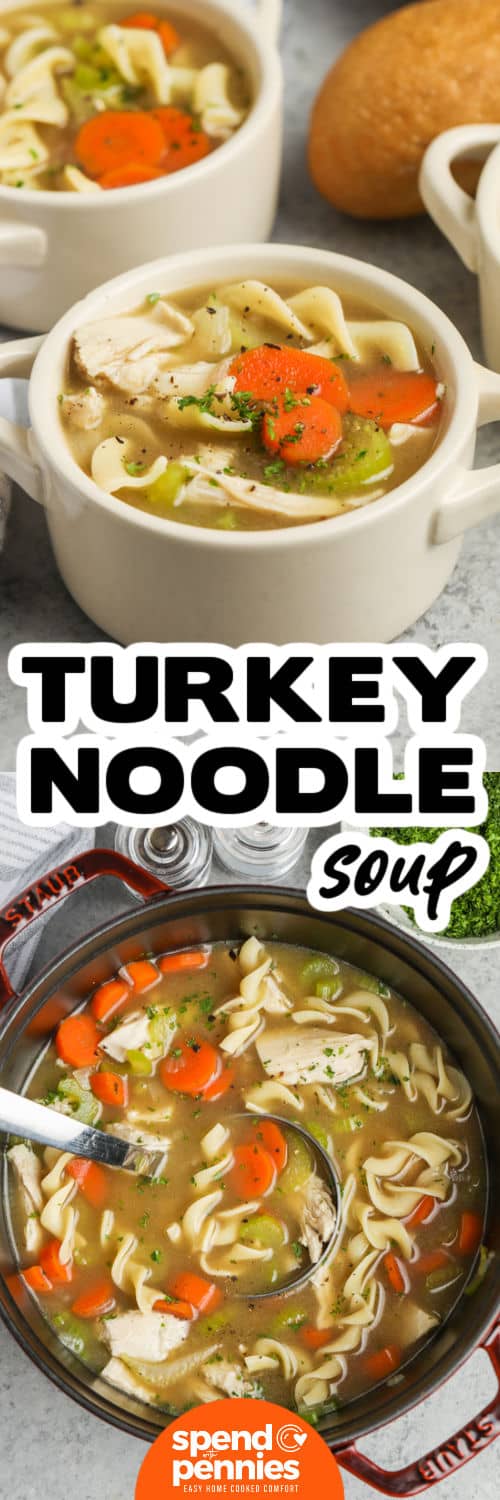 Turkey Noodle Soup in the pot and plated with a title