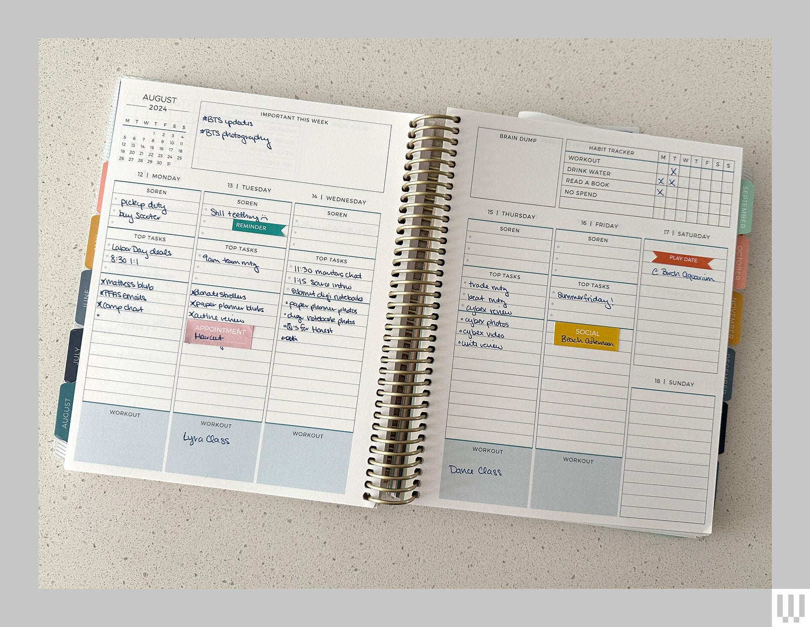 A paper planner open and laying flat on a white surface the pages showing notes for days in August including habit...