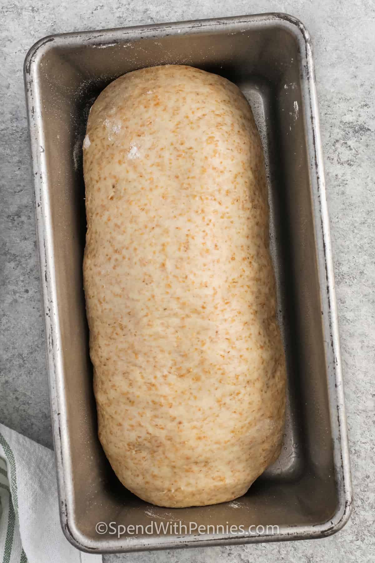 dough in a pan to make Whole Wheat Bread