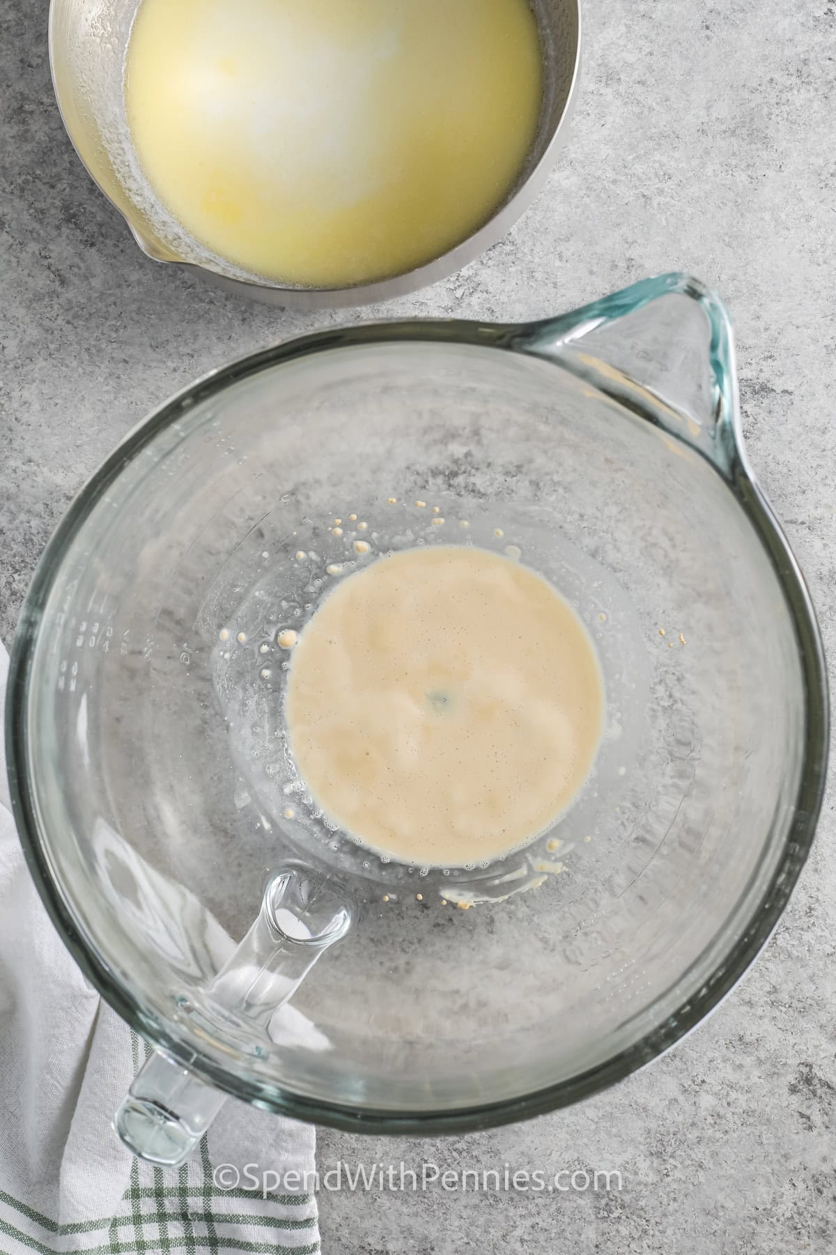 dissolved yeast in water in a measuring cup to make Whole Wheat Bread