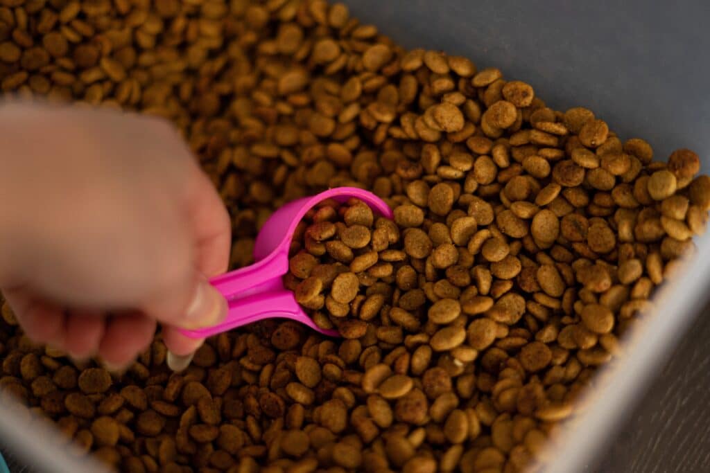 Hand Scooping Up A Portion Of Brown Dog Food Kibble With A Small Bright Pink Measuring Cup Spoon