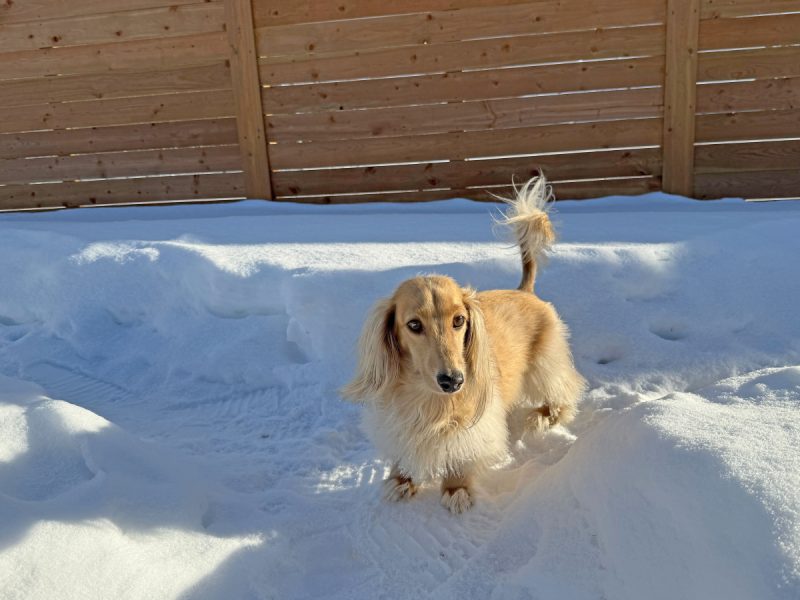 Draper cautiously walking on snow path