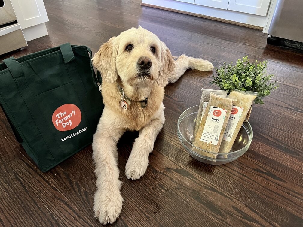 Finny with the farmer's dog food