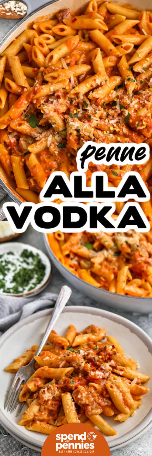 Penne alla Vodka in the pan and plated with a title