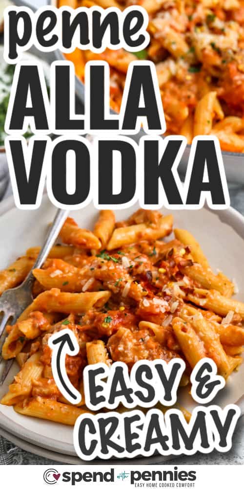 easy creamy Penne alla Vodka on a plate with writing