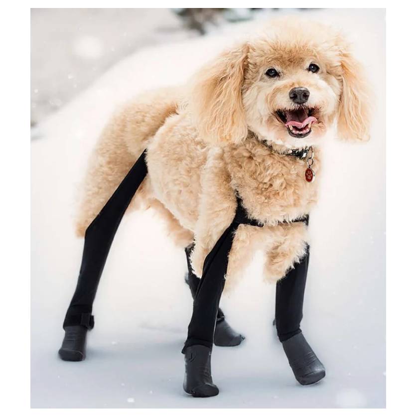 Walkee Paws Dog Leggings