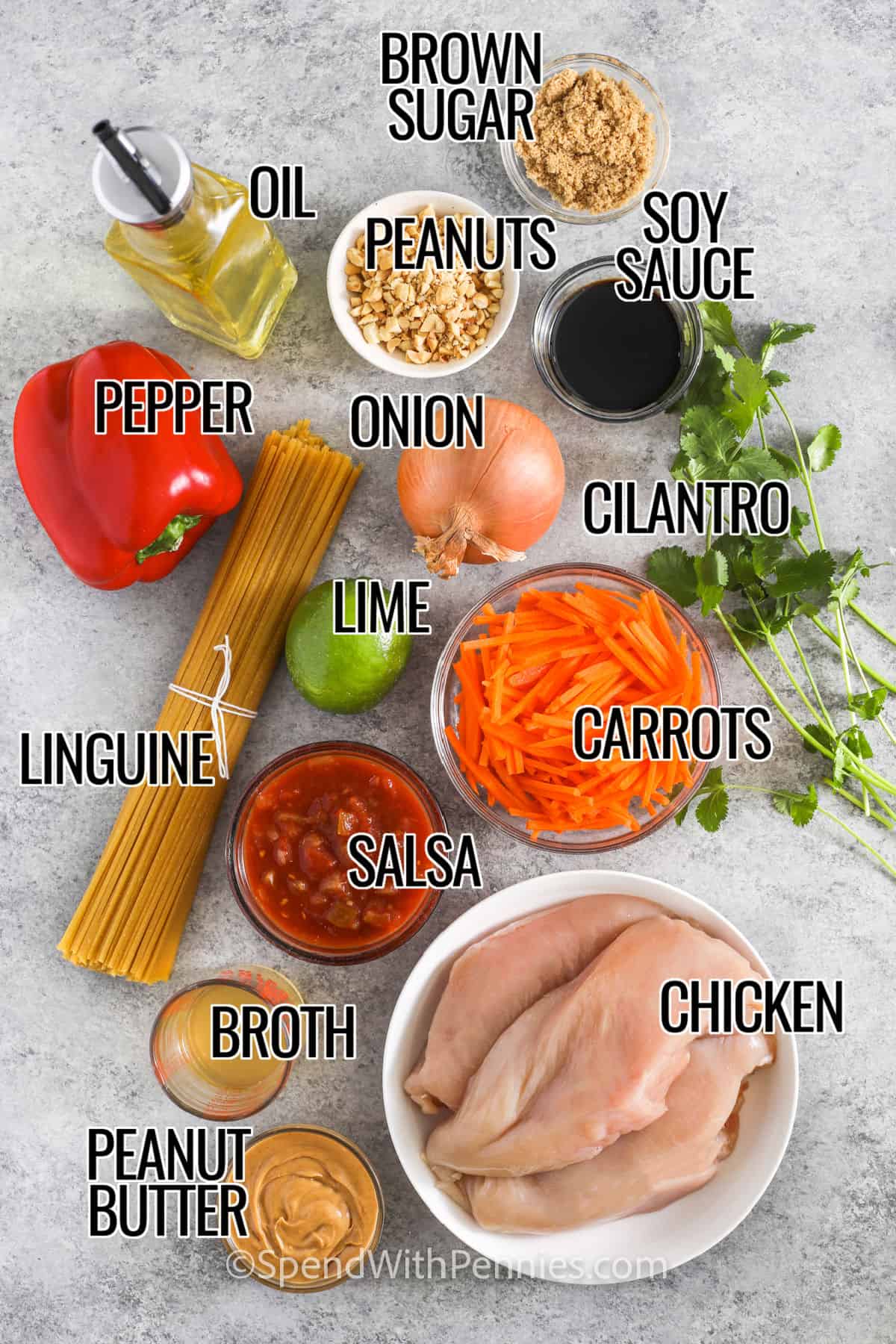 Ingredients to make slow cooker peanut noodles, with labels including brown sugar, oil, peanuts, soy sauce, pepper, onion, cilantro, lime, carrots, linguini, salsa, chicken breasts, broth, peanut butter