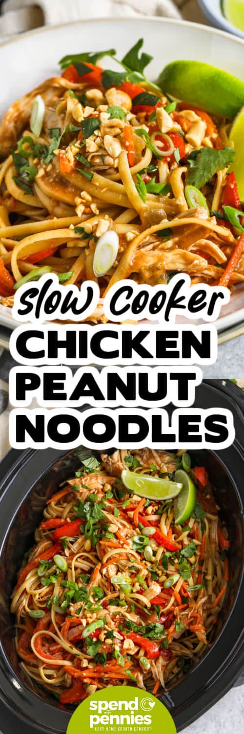 Slow cooker chicken peanut noodles on a plate and in a crock pot, with writing