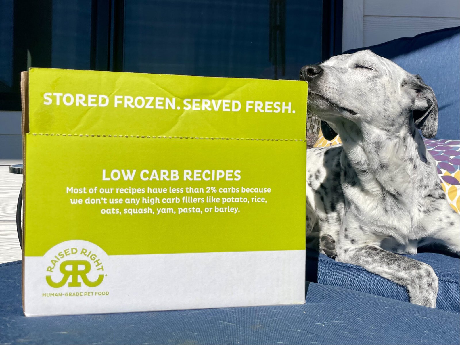 Raised Right vet Diet Dog Food - Box & Ragz