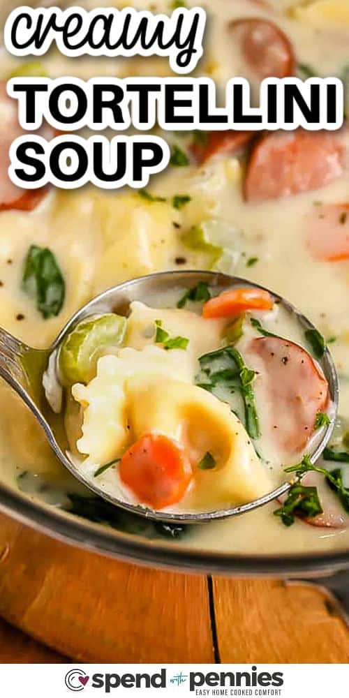 close up of Creamy Tortellini Soup with a title