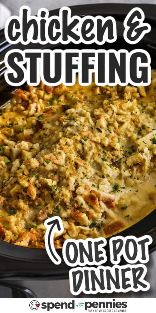 one pot Crockpot Chicken and Stuffing with writing