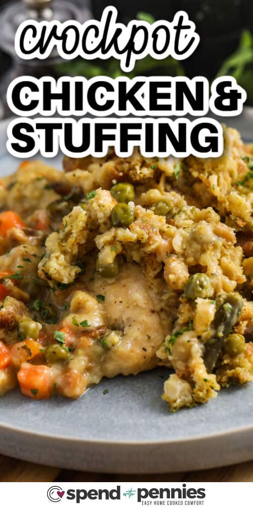 close up of Crockpot Chicken and Stuffing on a plate with a title