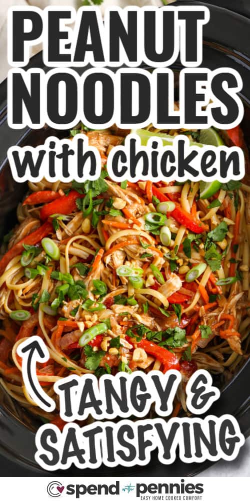 tangy and satisfying peanut noodles in a slow cooker with writing