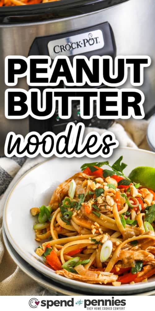 peanut noodles on a plate with a crock pot with writing