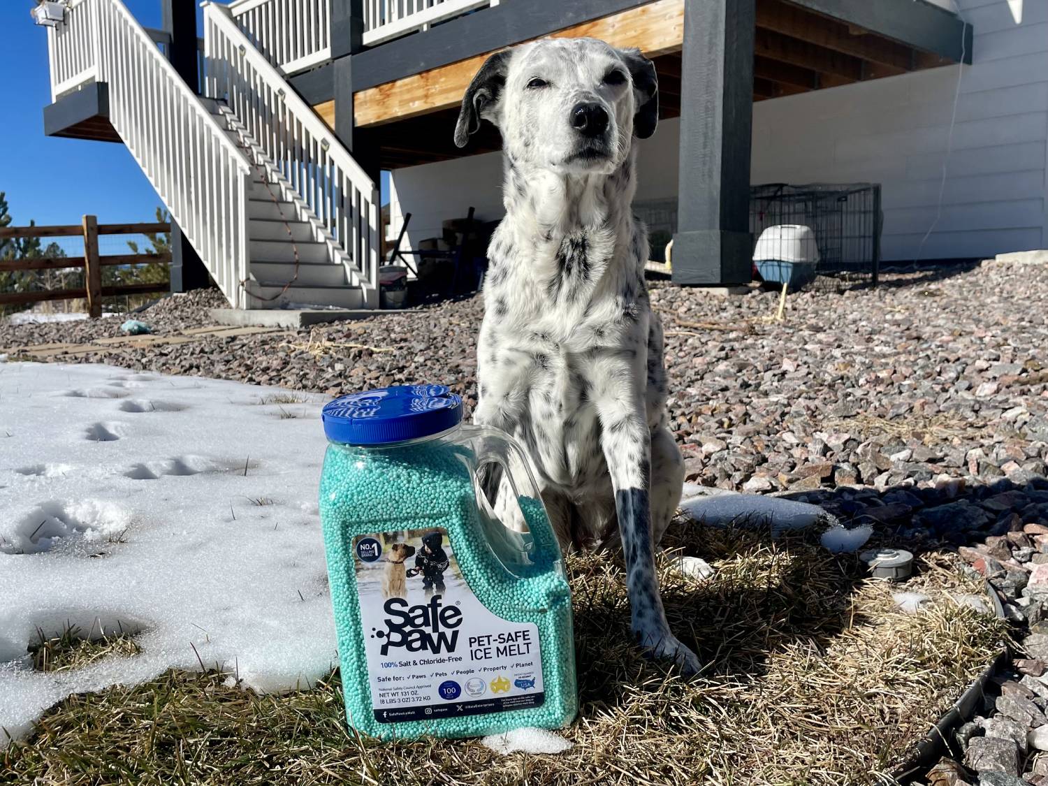 Safe Paw Ice Melter Review - product with dog outdoors