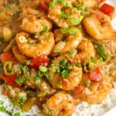 Shrimp Etouffee on a white plate with rice