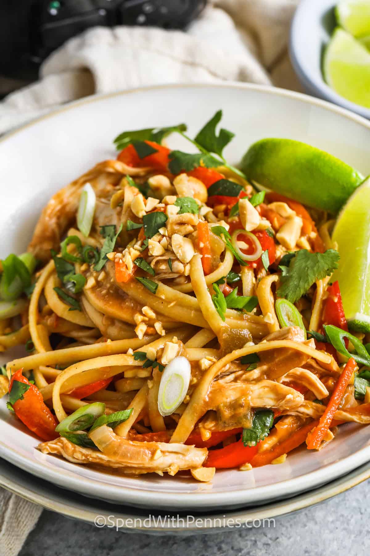 A bowl of slow cooker chicken peanut noodles