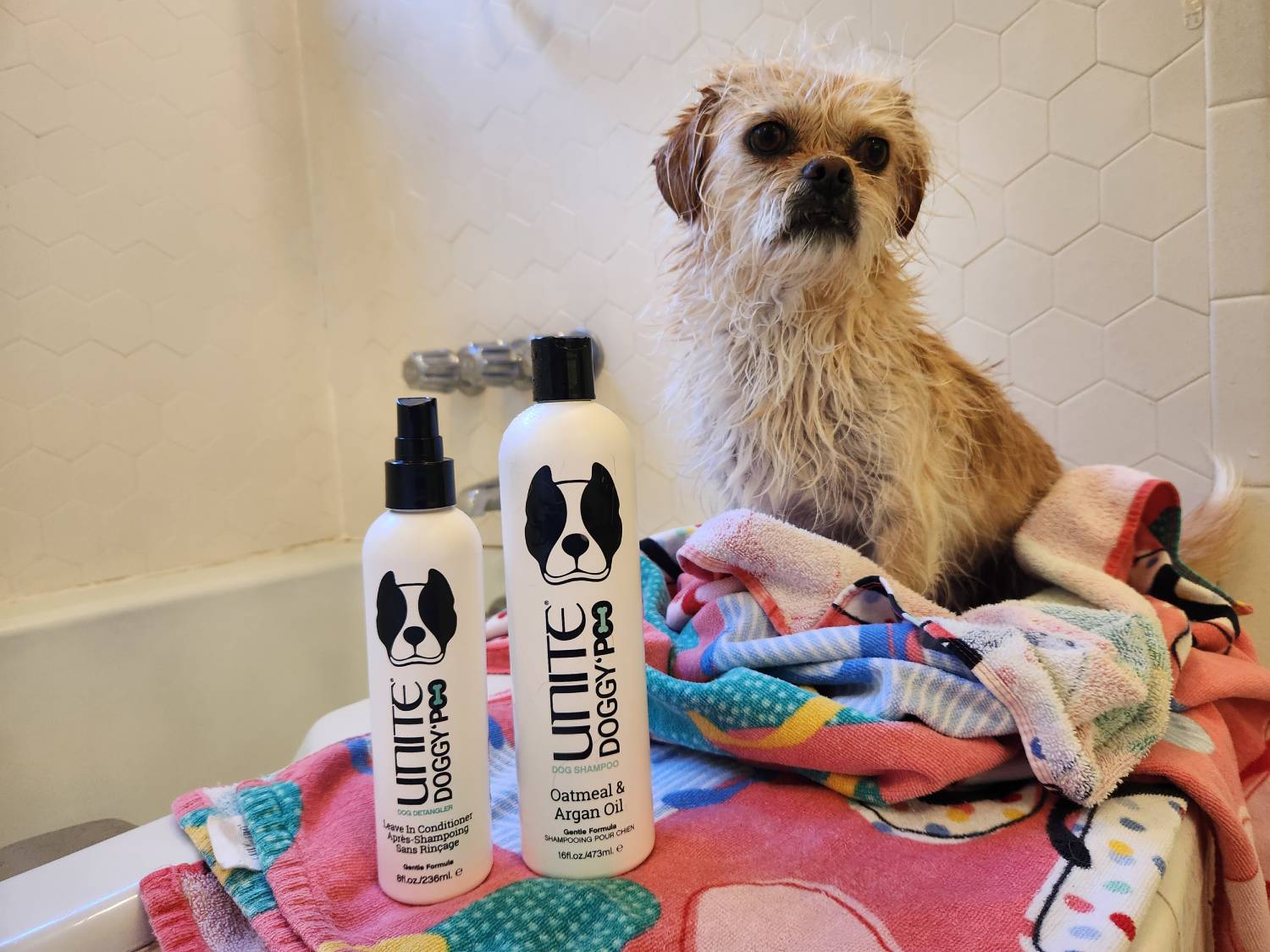 UNITE DOGGY’POO Review - dog with products after a bath