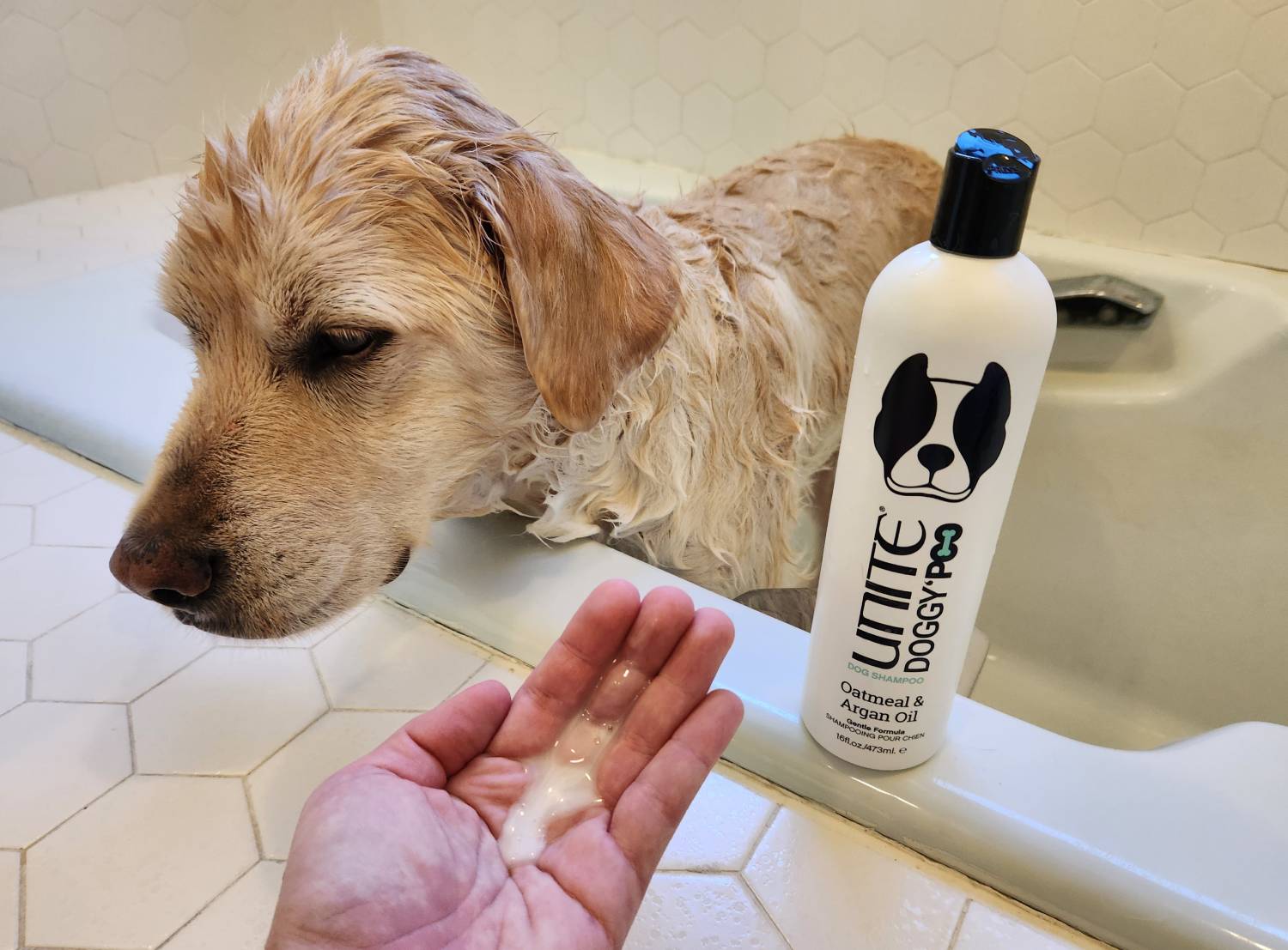 UNITE DOGGY’POO Review - using shampoo