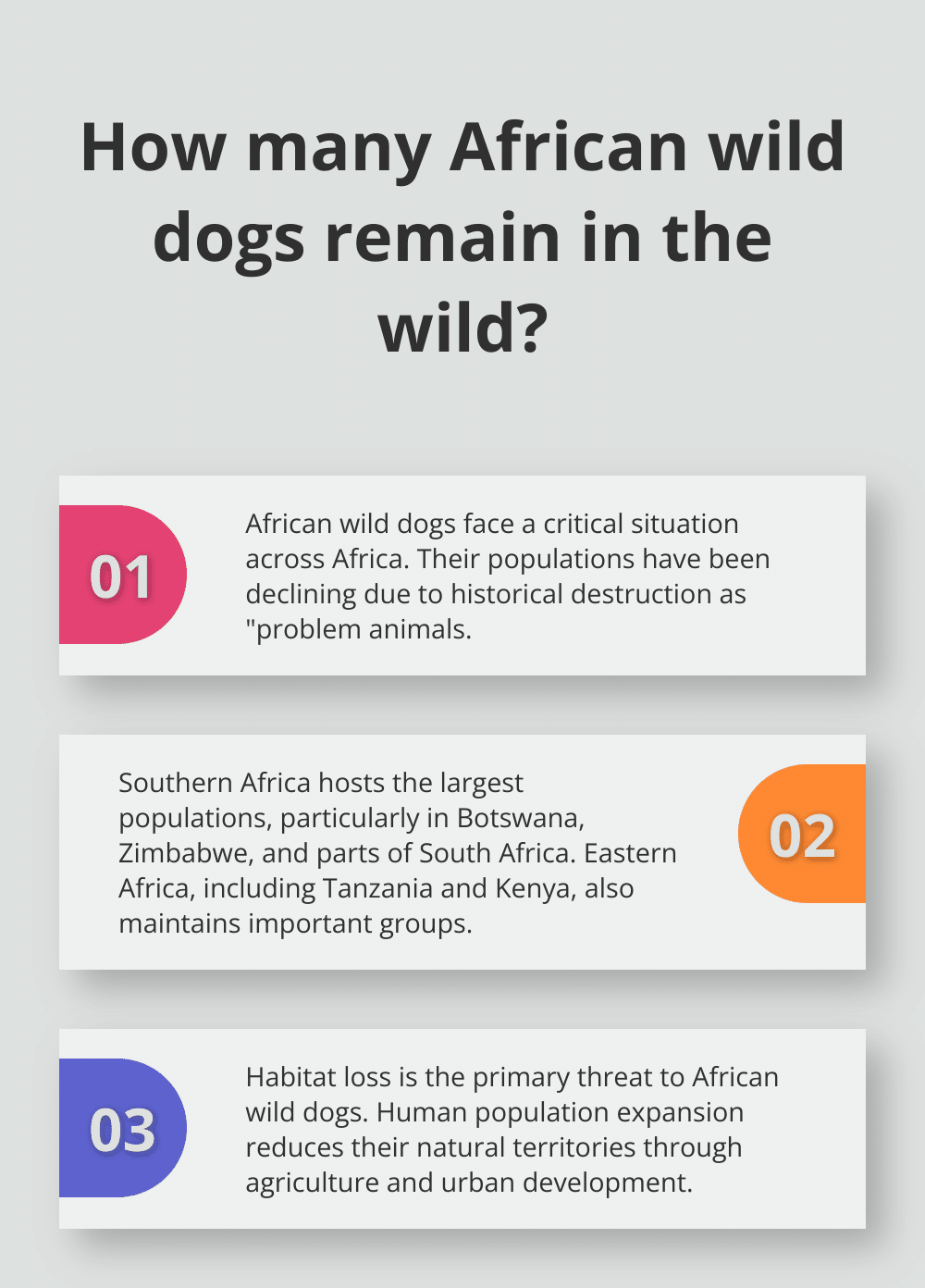 Infographic: How many African wild dogs remain in the wild?