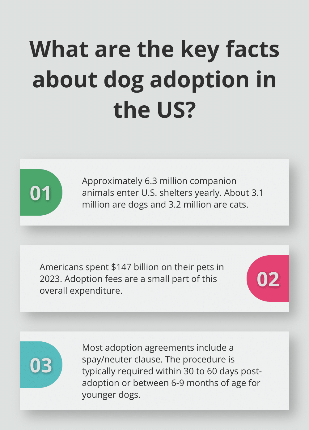 Infographic: What are the key facts about dog adoption in the US? - dog adoption agreement