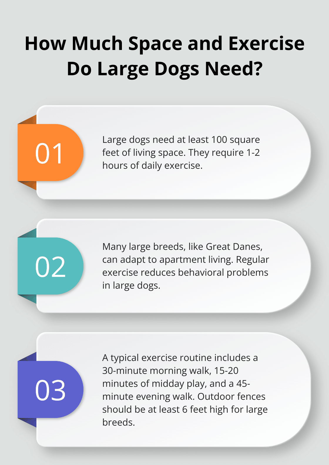 Infographic: How Much Space and Exercise Do Large Dogs Need? - large dog breeds adoption